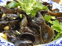 凉拌小木耳-锅来乐地锅鸡(安亭店)