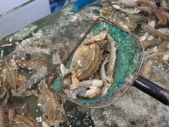 -晓琦农家菜馆·地道农家菜