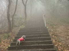 -紫金山天文台