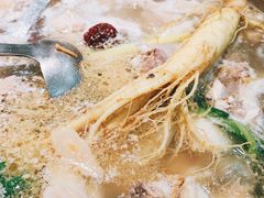 -千岛蚝高压锅生蚝·人参火锅(白云万达店)