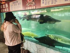 -年辉渔村·非遗传承餐厅(新丰江店)