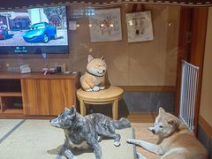 -大江户·温泉洗浴(浑南店)