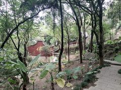 -乌山风景区