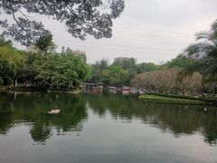 -晓港公园