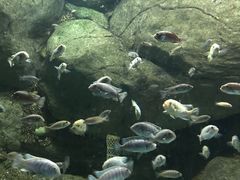 -苏州海洋馆