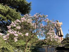 -山东师范大学(千佛山校区)