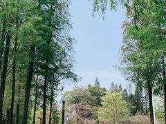 -四海公园(南山区)