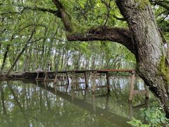 -西溪南古村落景区