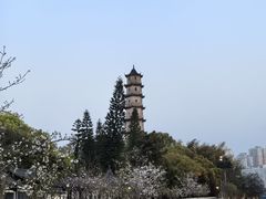 -江心屿景区