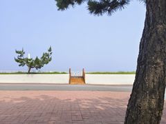 -日照海滨国家森林公园