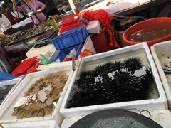 -板桥海鲜广场(文明东店)