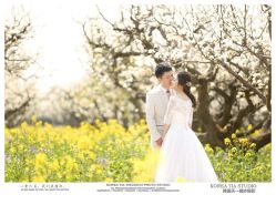 -天一婚纱摄影TIA STUDIO(珠海路店)