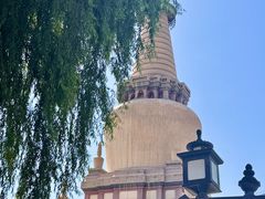 -张掖大佛寺景区