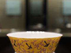 -平原博物院