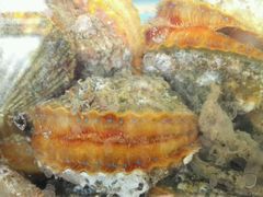 -龙溪海鲜酒家(溪涌店)