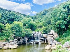 -北京西山国家森林公园