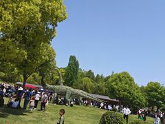 -中国西峡恐龙遗迹园