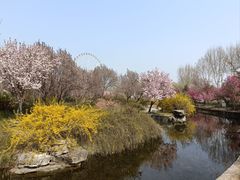 -石家庄市植物园