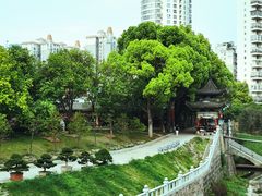 -华雅花园大酒店