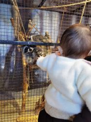 -酷嗒动物文化乐园(cutezoo西溪乐天城店)