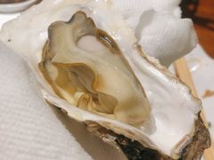 竹篮生蚝-全渔村小海鲜