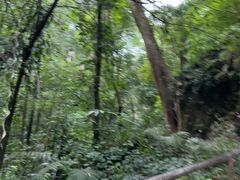 -莫里热带雨林景区