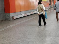 -真北路(地铁站)