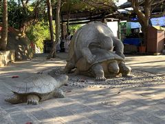 -海南分界洲岛旅游区