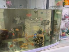 -上海市普陀区中心医院