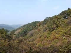 -金龙寺国家森林公园
