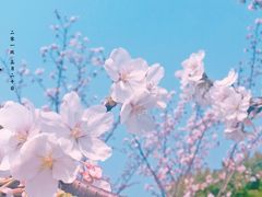 -堤角公园
