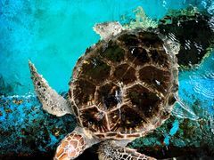 -成都浩海立方海洋公园