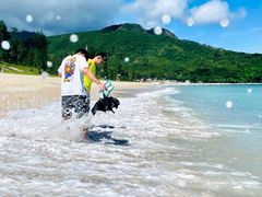 -西涌国际滨海旅游区