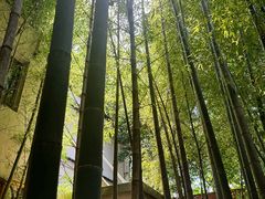 -穹六人间 people 6(岳阳路店)