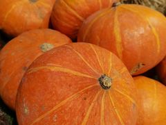 -老阿爸江浙土菜(奥体中心店)