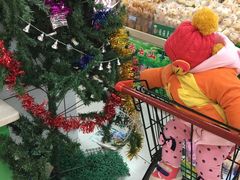 -嘉百乐超市(新东街店)