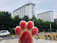 -东南大学(九龙湖校区)