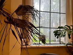 -COTTON CAFE(德信·中外公寓店)