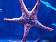 -沈阳海洋探索中心