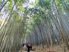 -穹窿山景区