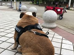 -紫颐香薰山谷景区