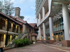-香港大学