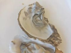 -港畔赶海蒸汽海鲜烧烤自助(仙螺岛店)
