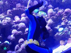 -太平洋海底世界