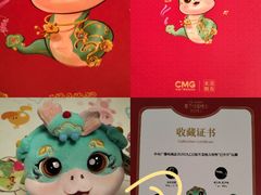-中央广播电视总台(光华路办公区)