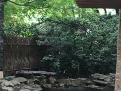 -静安公园(静安寺街道)