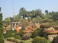 -东芭乐园