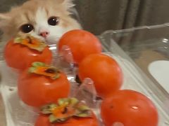 -必胜客(龙泉万达店)