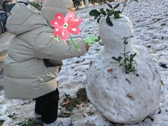 -石家庄市裕华区森尼万达幼儿园