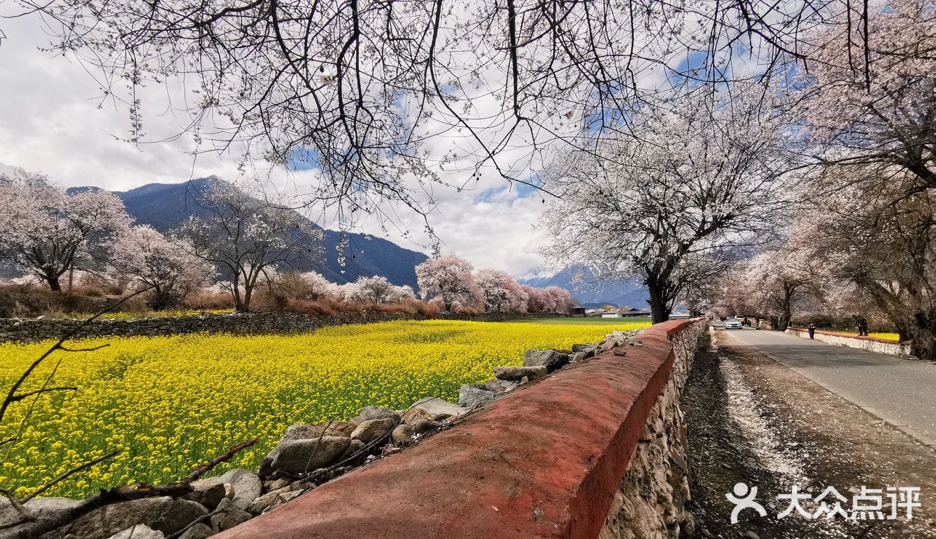 三生三世十里桃花